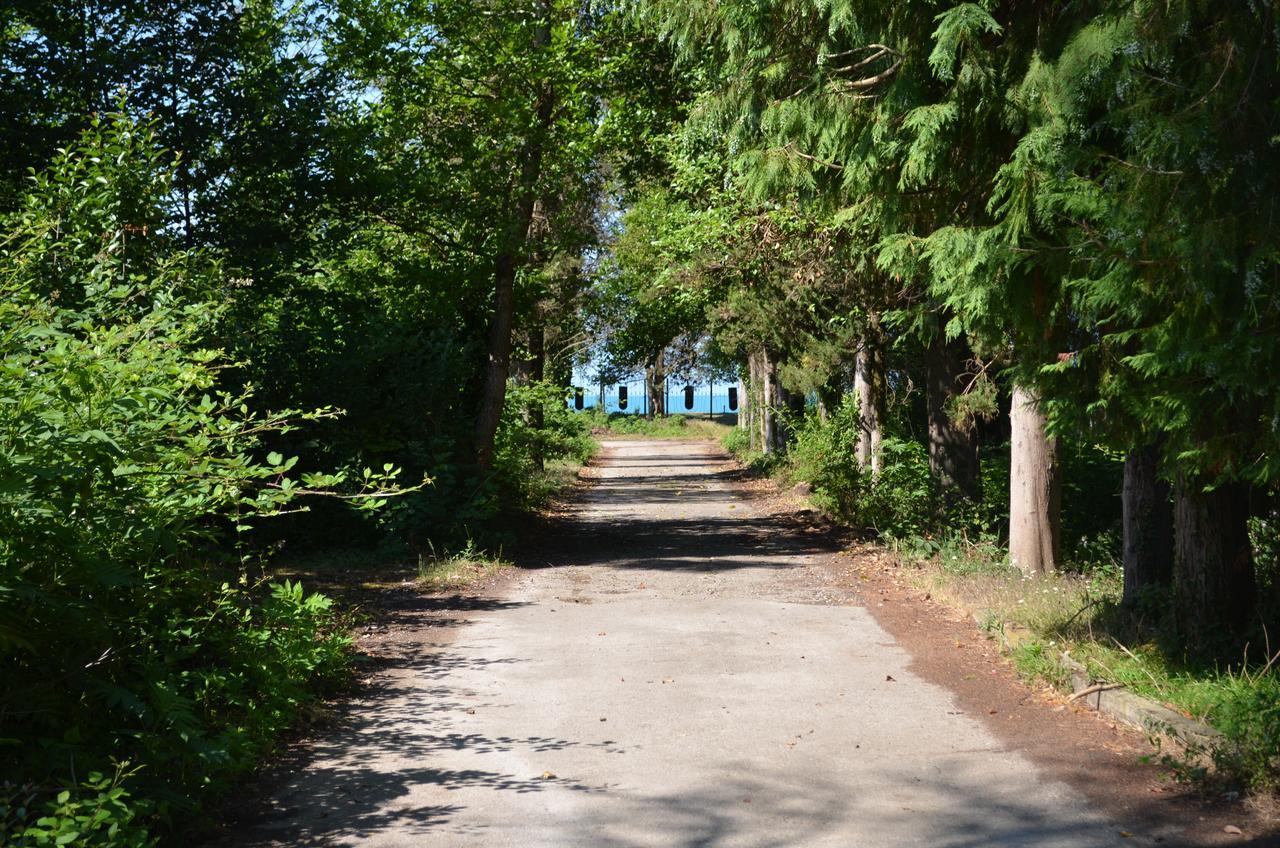 Solnechny Bereg Guest House Gudauta Esterno foto