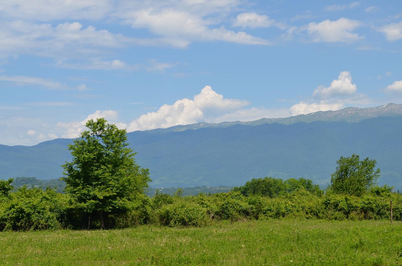 Solnechny Bereg Guest House Gudauta Esterno foto