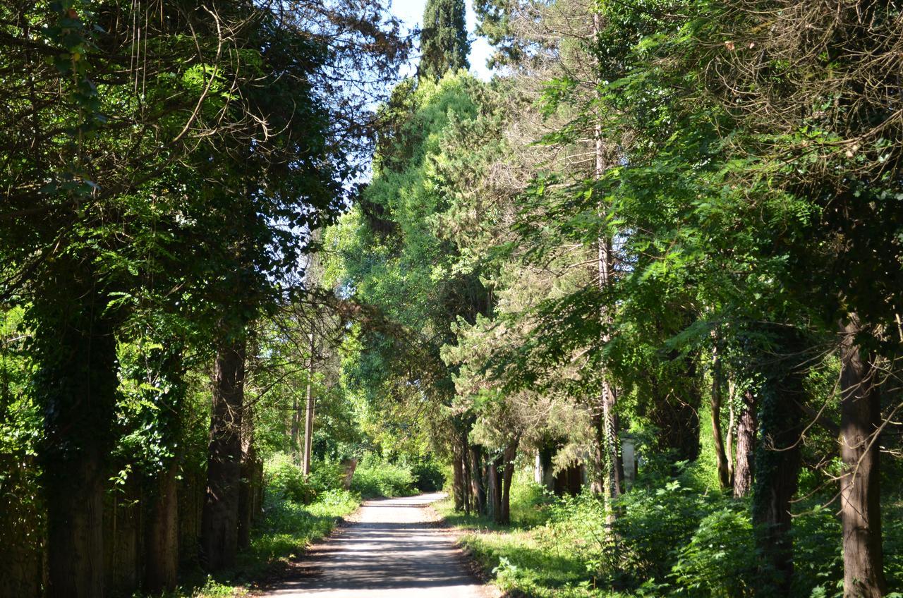 Solnechny Bereg Guest House Gudauta Esterno foto