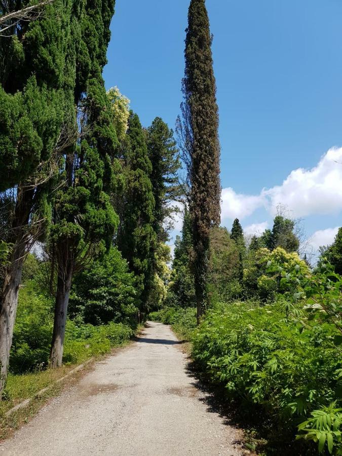 Solnechny Bereg Guest House Gudauta Esterno foto