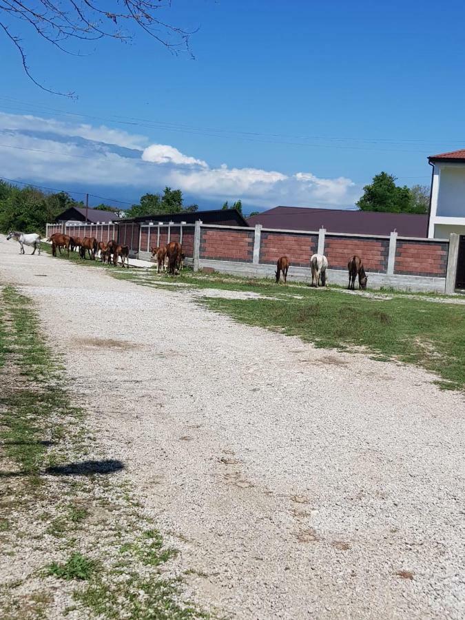 Solnechny Bereg Guest House Gudauta Esterno foto