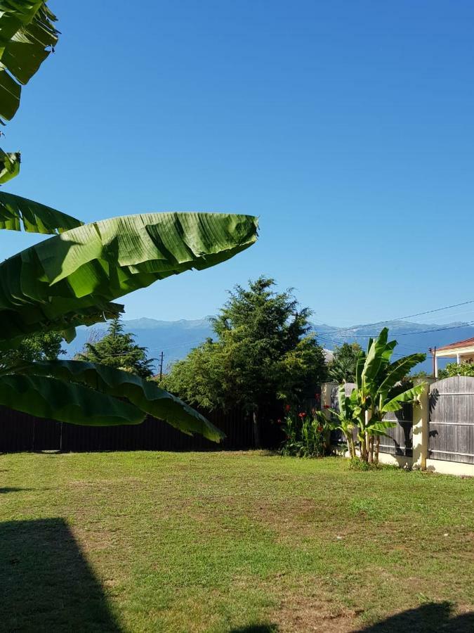 Solnechny Bereg Guest House Gudauta Esterno foto